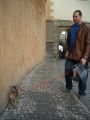 Well, have you ever seen a cat on a lead?