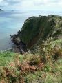 Walk to Dartmouth Castle<br />Combe Point