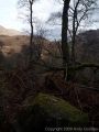 Day Three: Geocaching in Borrowdale<br />View from Grange Fell